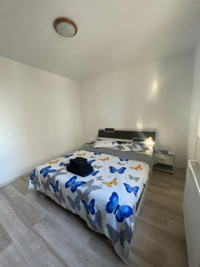 LC APARTMENTS Doamna Stanca
